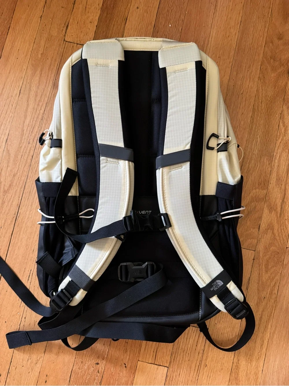 The North Face stylish north